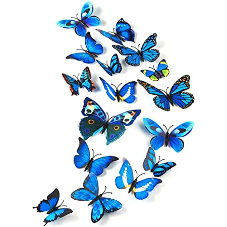 Detail Schmetterling Seitlich Nomer 25