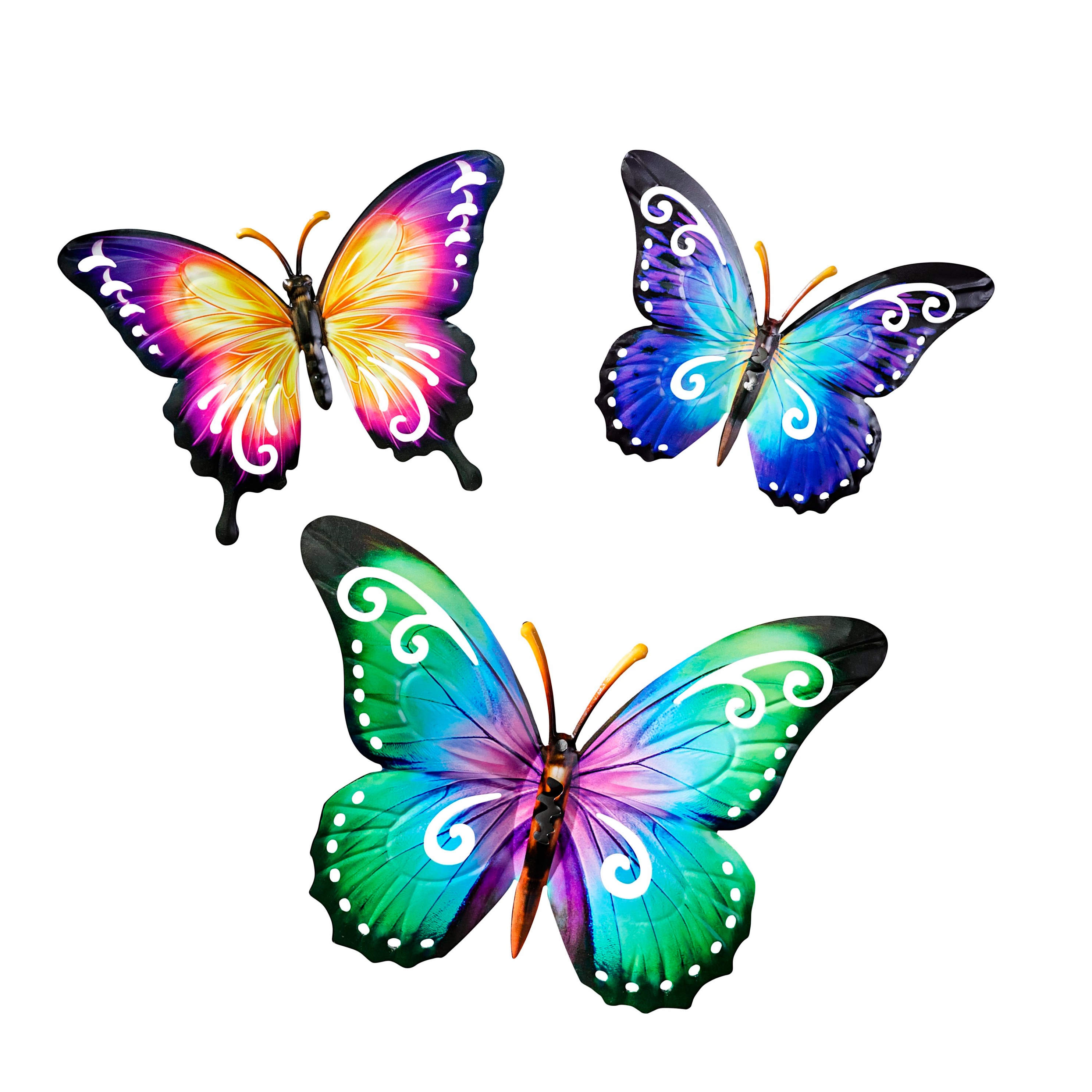 Detail Schmetterling Seitlich Nomer 27