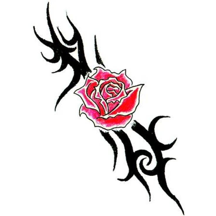 Detail Tattoo Rose Mit Namen Nomer 18