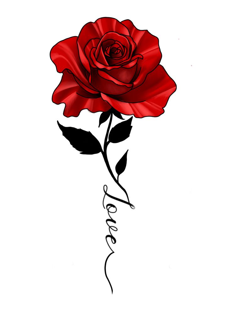 Detail Tattoo Rose Mit Namen Nomer 2