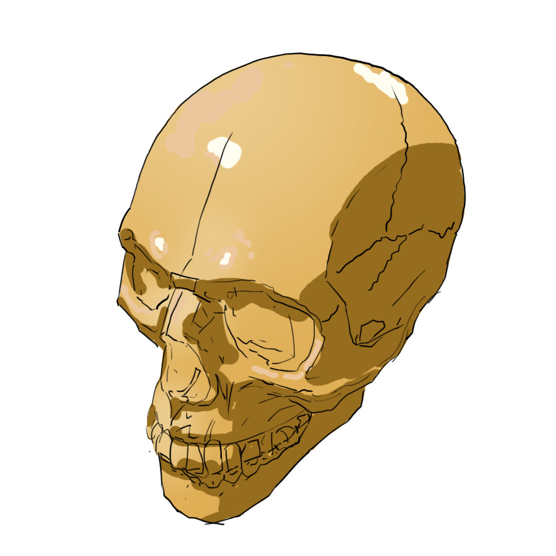 Detail Tiger Skull Nomer 9