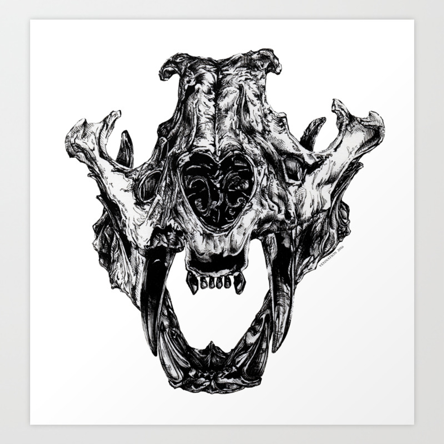 Detail Tiger Skull Nomer 18
