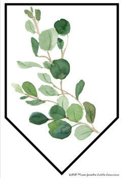 Detail Vase Eukalyptus Nomer 19