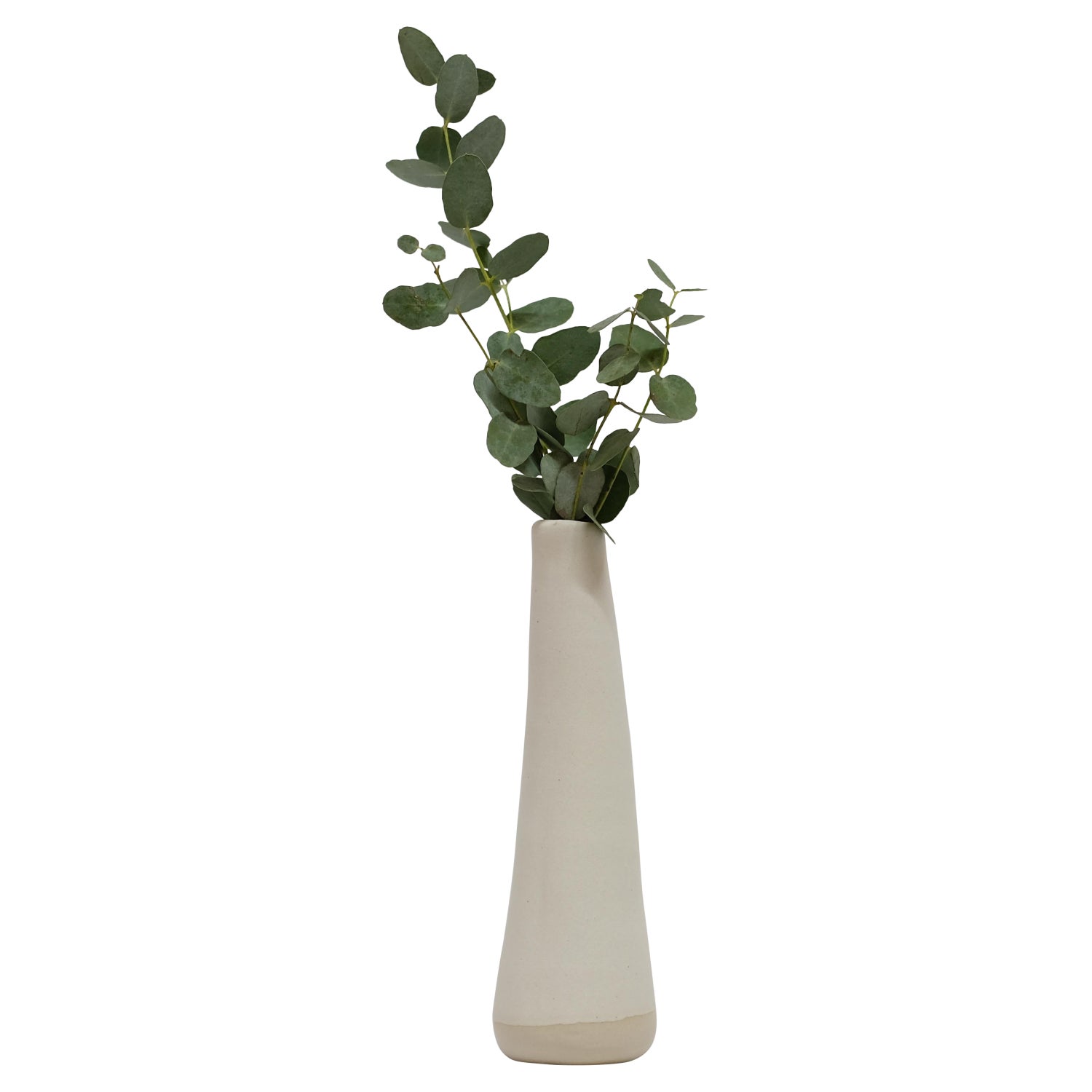 Detail Vase Eukalyptus Nomer 5
