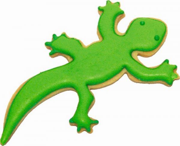 Detail Was Essen Eidechsen Babys Nomer 22