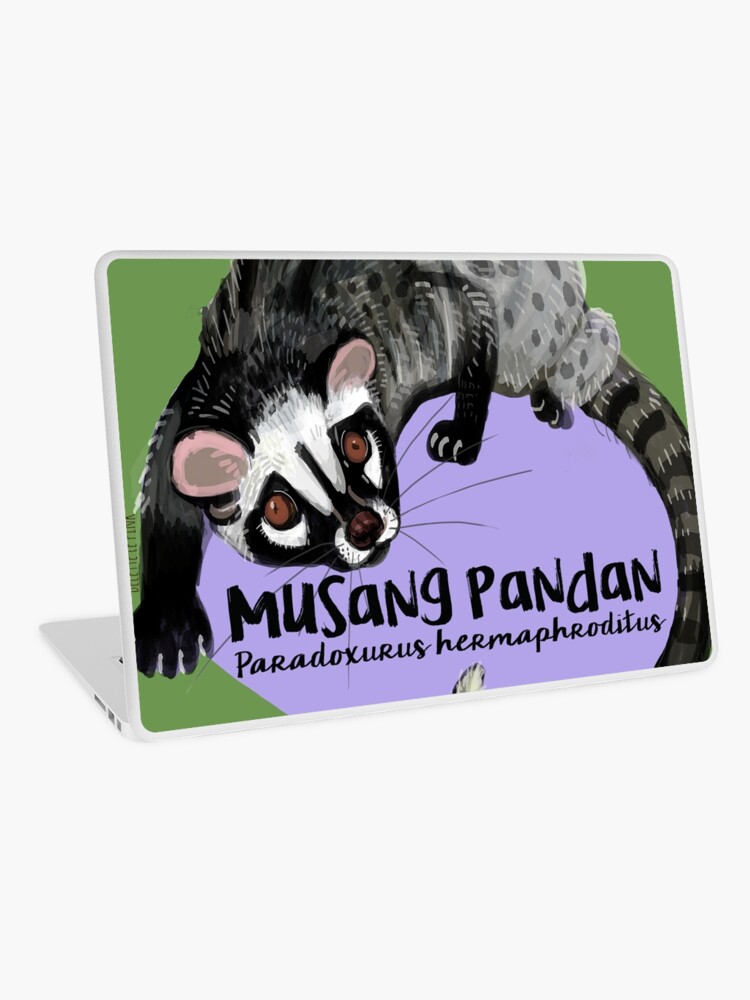 Detail Foto Musang Pandan Nomer 18