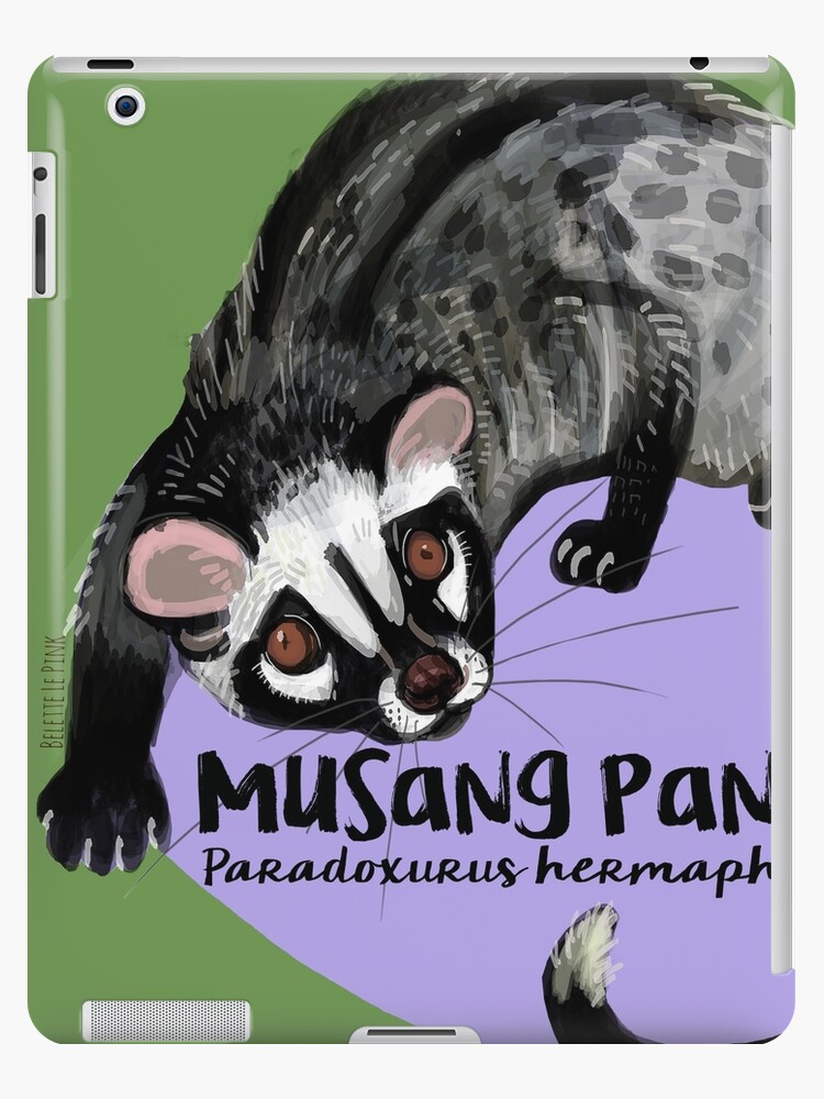 Detail Foto Musang Pandan Nomer 22