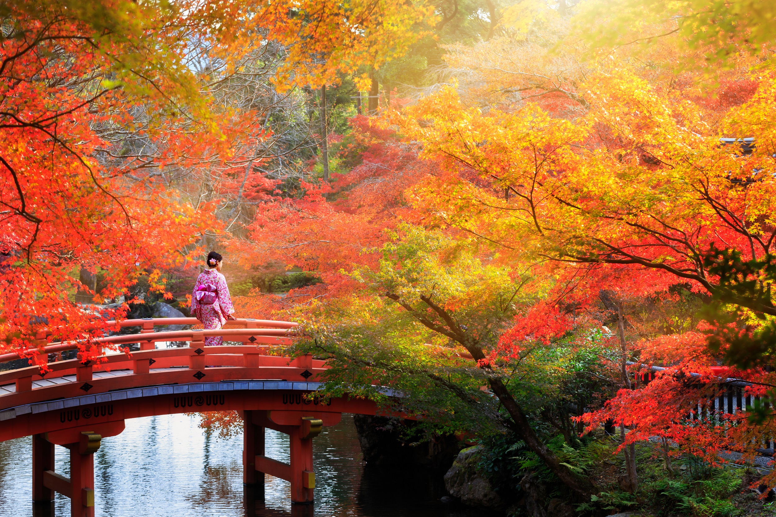 Detail Foto Musim Gugur Di Jepang Nomer 19