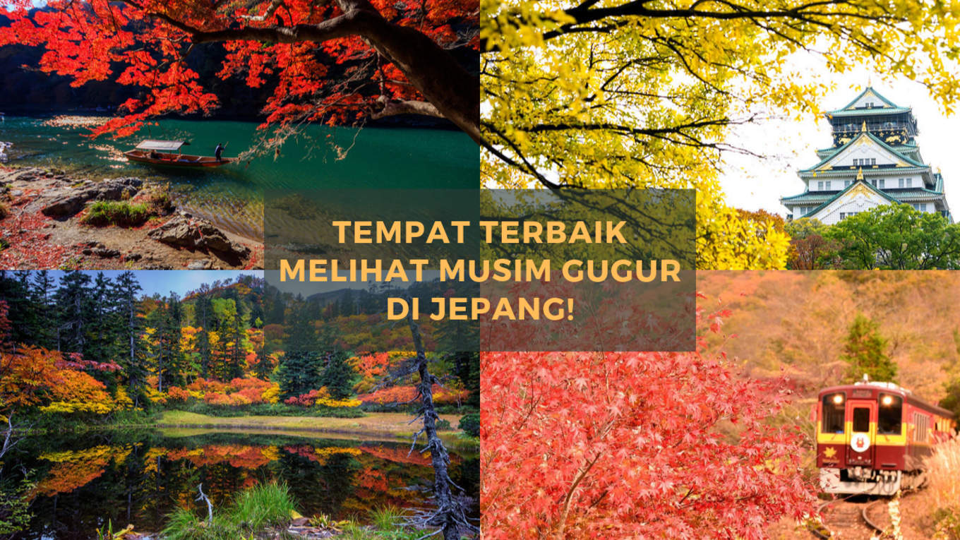 Detail Foto Musim Gugur Di Jepang Nomer 7