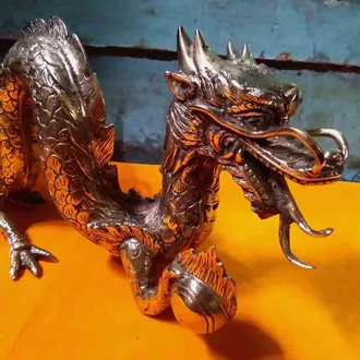 Detail Foto Naga Api Asli Nomer 16