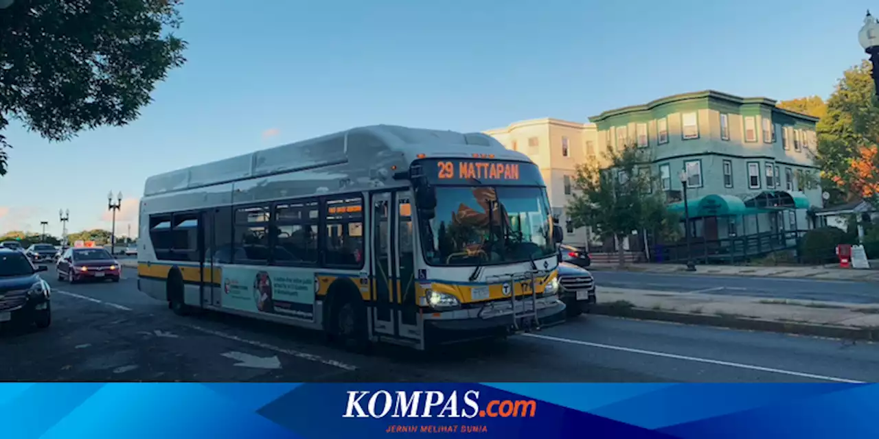Detail Foto Naik Bus Nomer 44