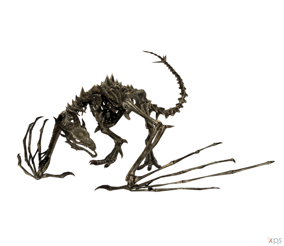 Detail Skyrim Skeleton Dragon Nomer 5