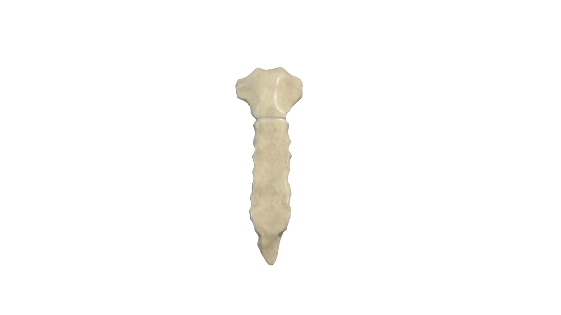 Sternum 3d - KibrisPDR
