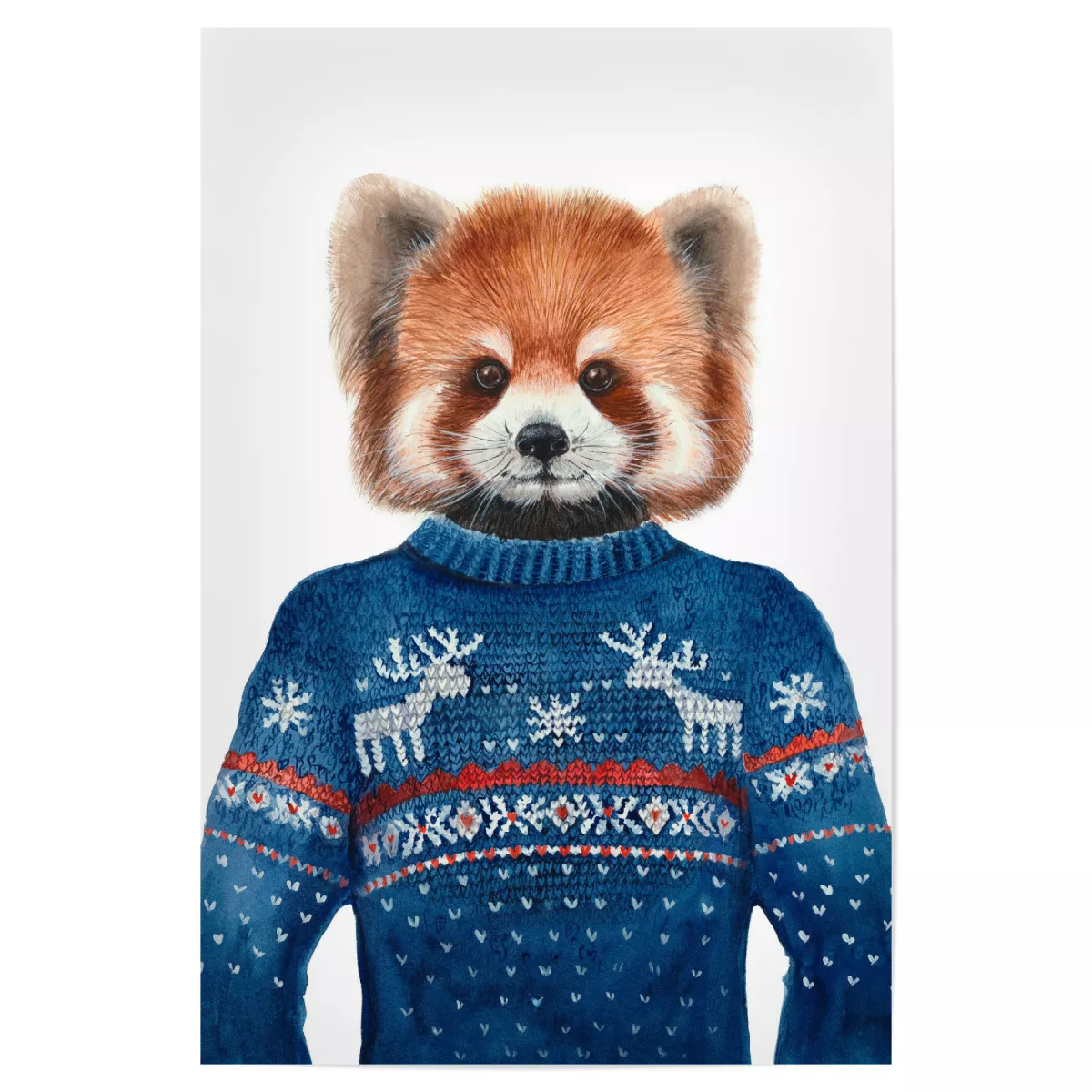 Detail Bilder Roter Panda Nomer 8