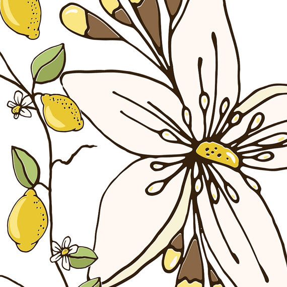 Detail Clipart Zitrone Nomer 13