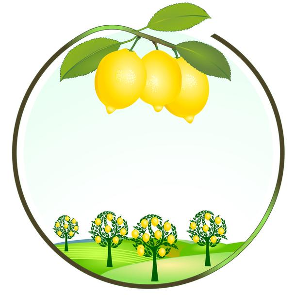 Detail Clipart Zitrone Nomer 15