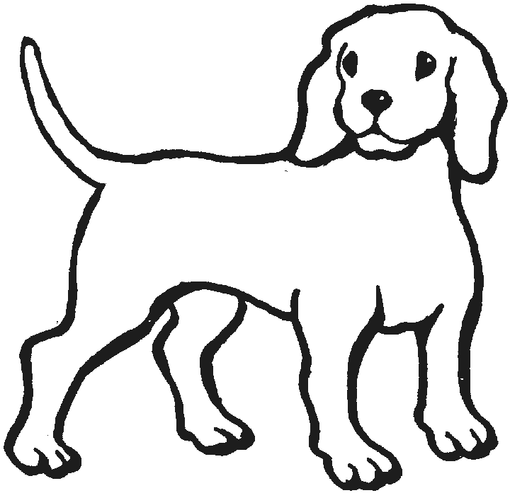 Detail Dog Sketch Nomer 2
