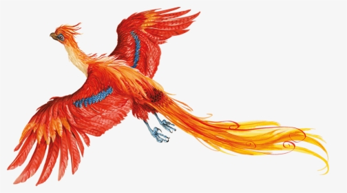 Detail Phoenix Harry Potter Tattoo Nomer 12