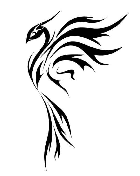 Detail Phoenix Harry Potter Tattoo Nomer 14