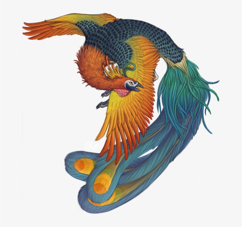 Detail Phoenix Harry Potter Tattoo Nomer 17