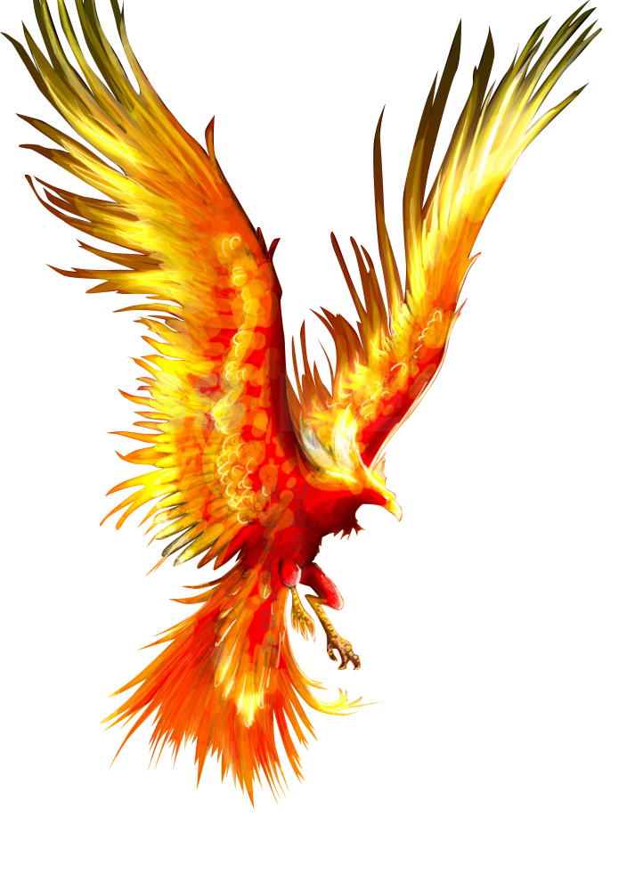 Detail Phoenix Harry Potter Tattoo Nomer 23