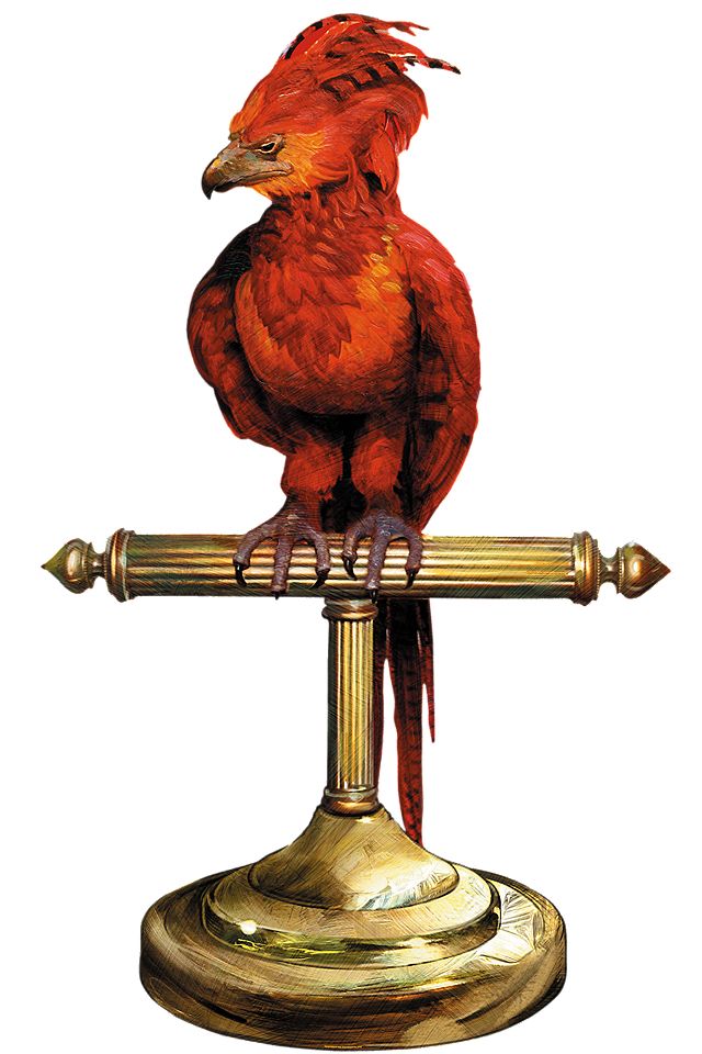 Detail Phoenix Harry Potter Tattoo Nomer 8