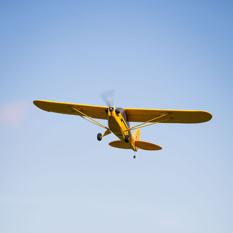 Detail Piper Super Cub E Flite Nomer 15