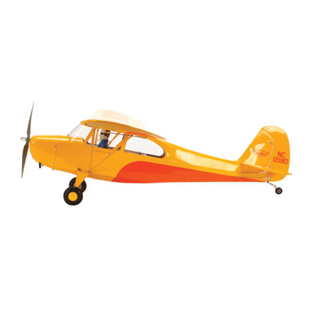 Detail Piper Super Cub E Flite Nomer 25