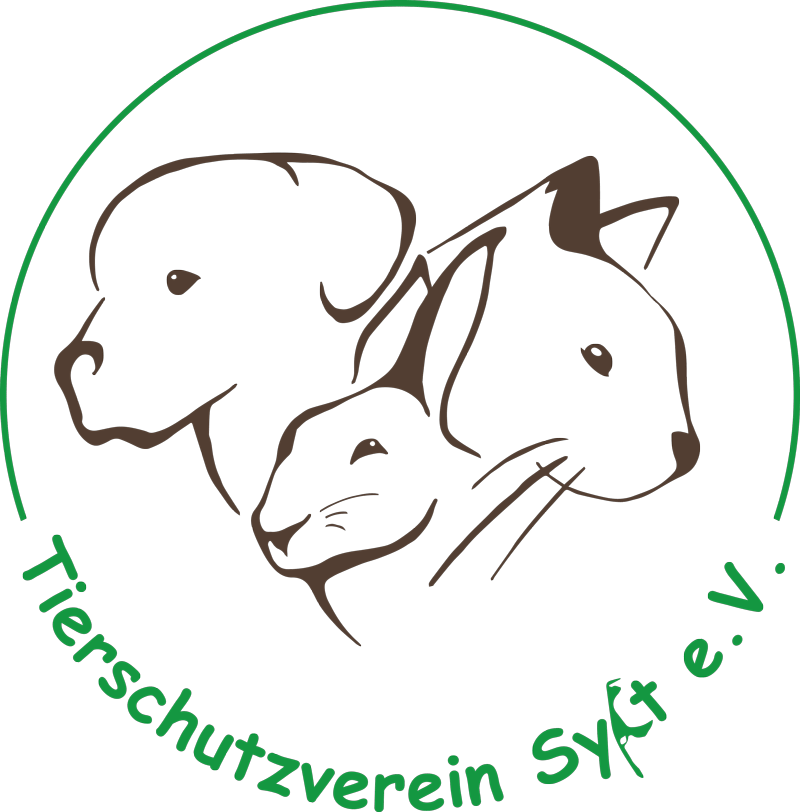Detail Cavapoo Tierheim Nomer 8