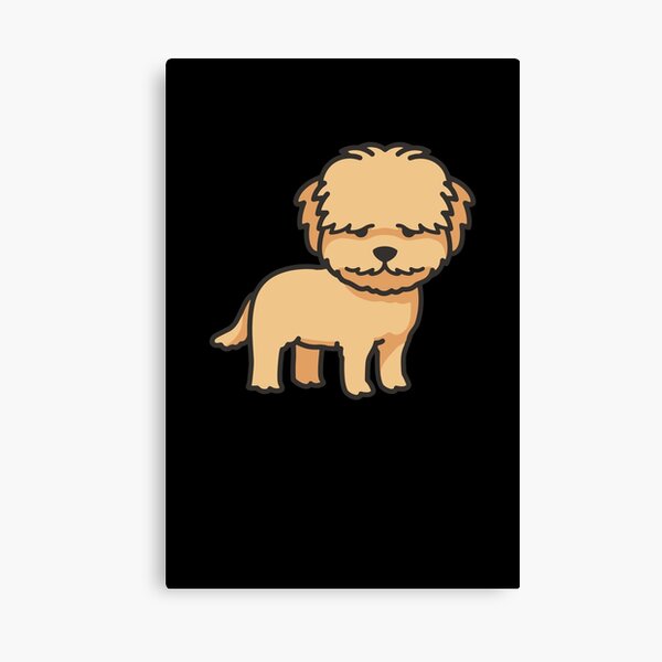 Detail Cavapoo Tierheim Nomer 10
