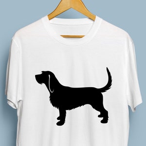 Detail Cavapoo Tierheim Nomer 3
