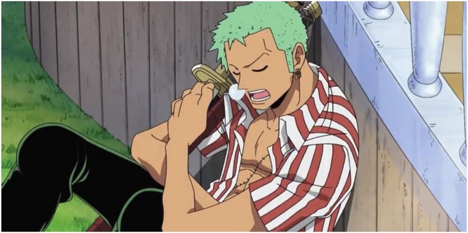 Detail Foto One Piece Zoro Nomer 30