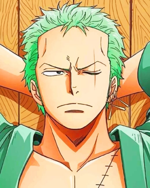 Detail Foto One Piece Zoro Nomer 33