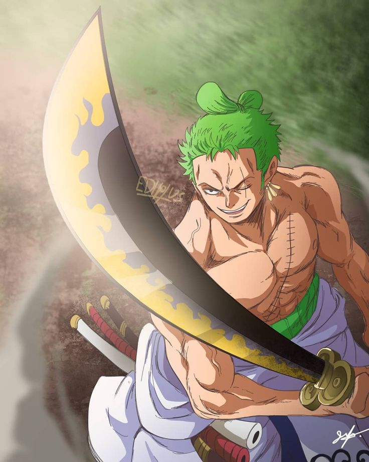 Detail Foto One Piece Zoro Nomer 51