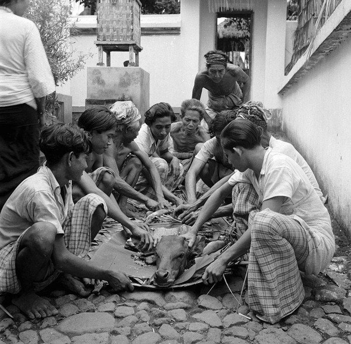 Detail Foto Orang Bali Jaman Dulu Nomer 12