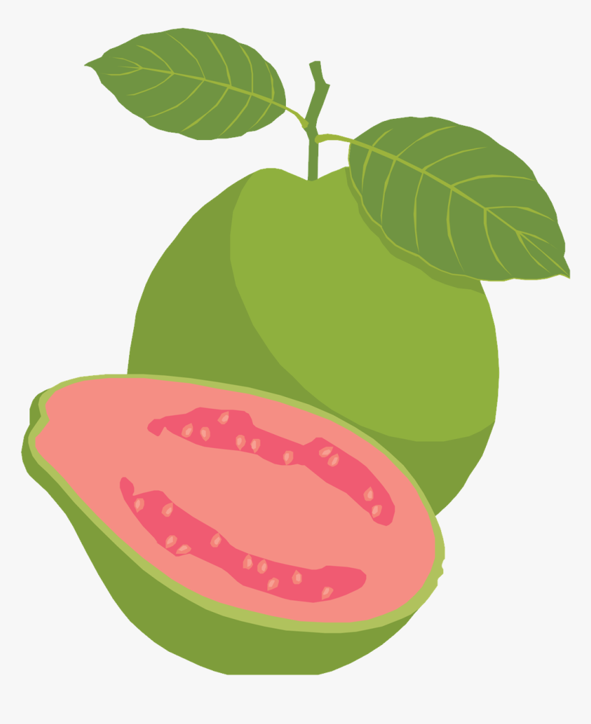 Detail Guava Png Nomer 2