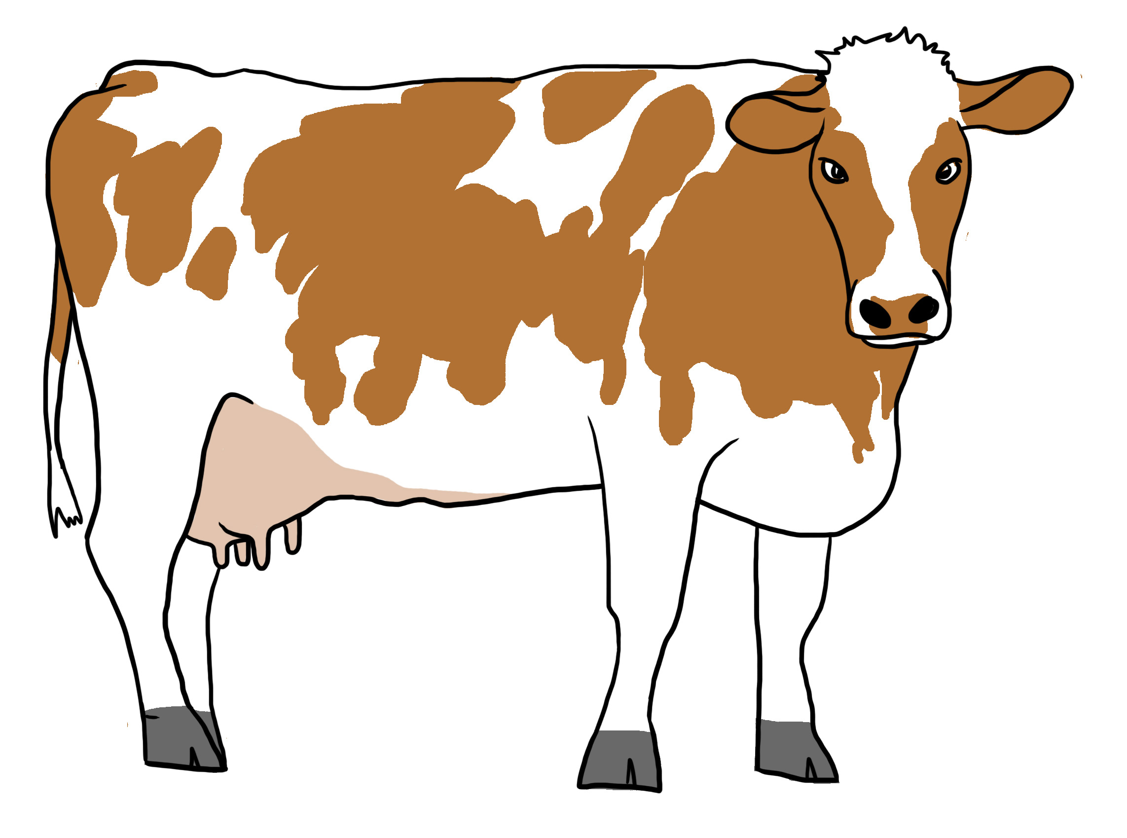 Detail Strichzeichnung Tiere Nomer 18