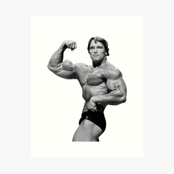 Detail Arnold Schwarzenegger Bizeps Nomer 10