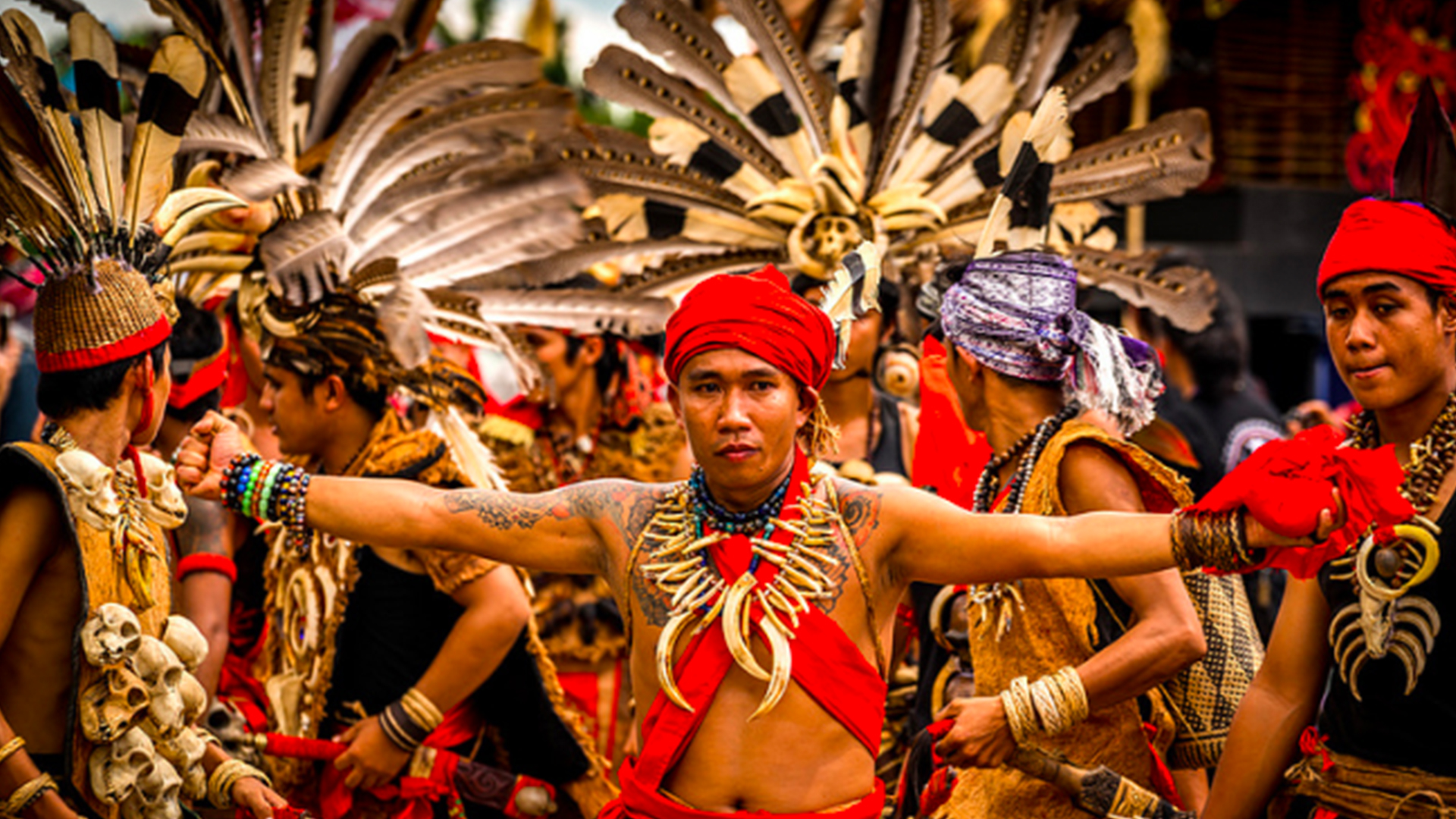 Detail Foto Orang Dayak Nomer 33