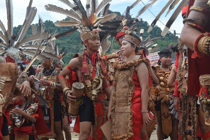 Detail Foto Orang Dayak Nomer 8