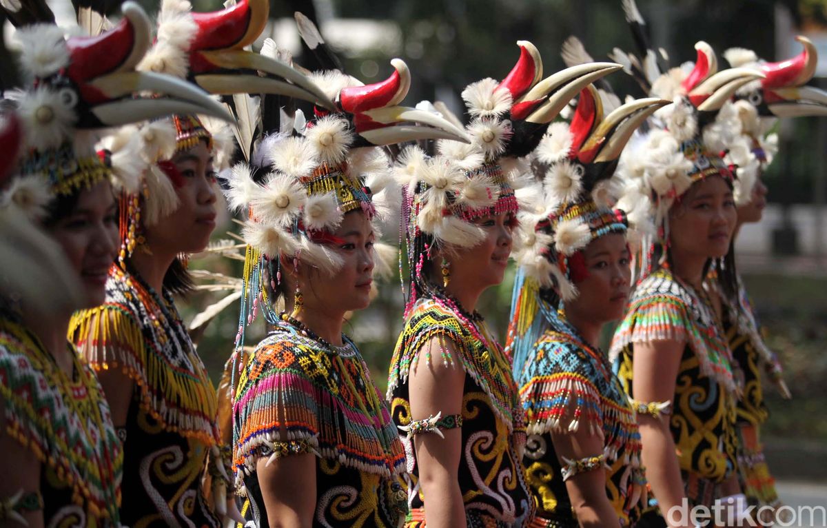 Detail Foto Orang Dayak Kalimantan Nomer 8