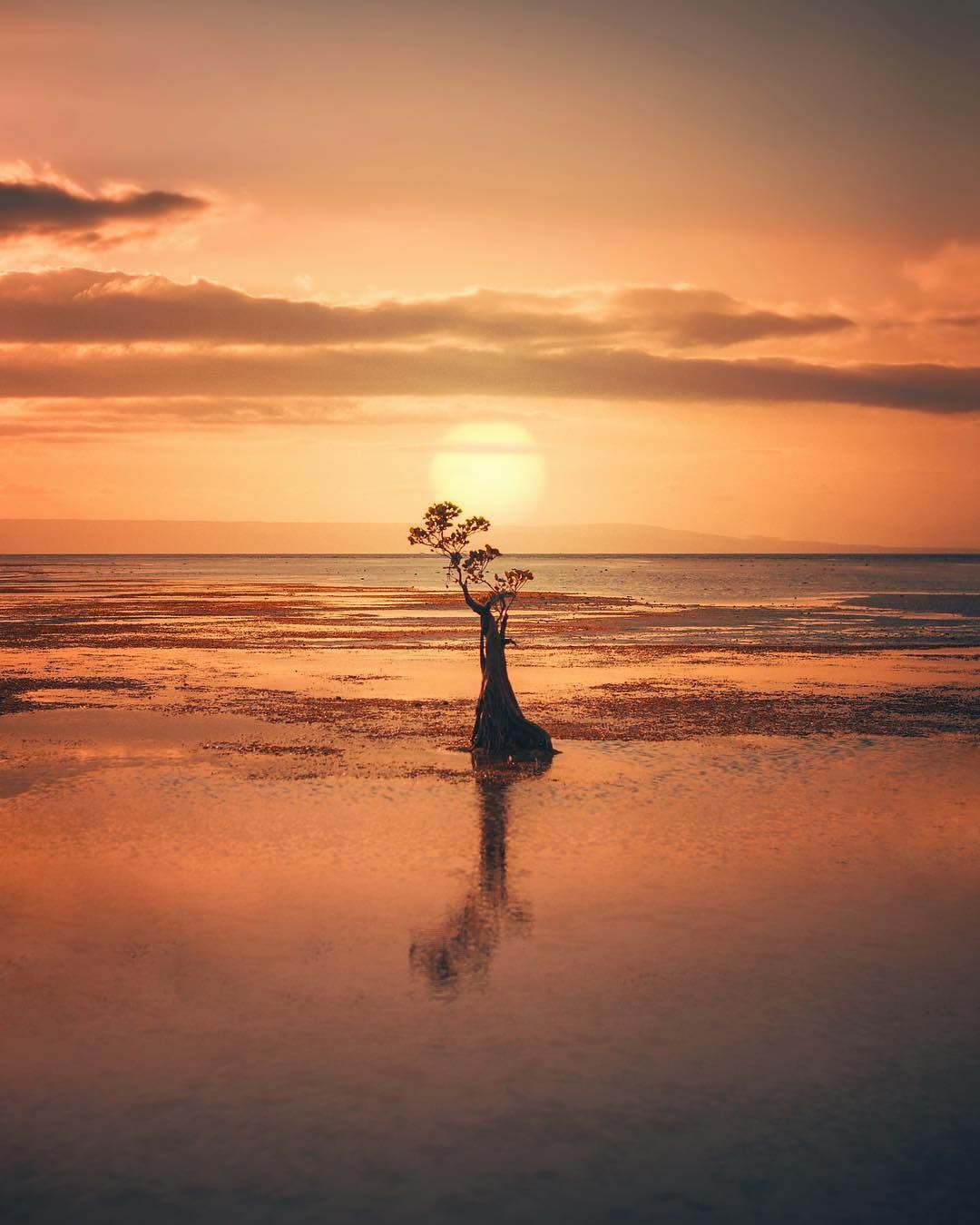 Detail Foto Orang Di Pantai Nomer 20