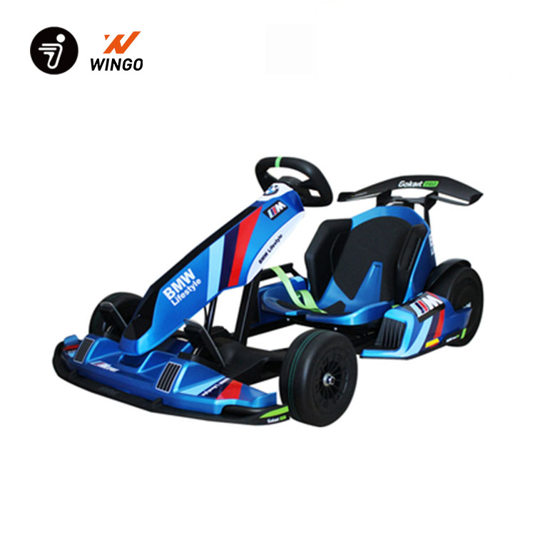 Detail Go Kart Erwachsene Nomer 15