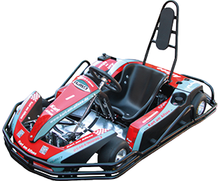 Detail Go Kart Erwachsene Nomer 25