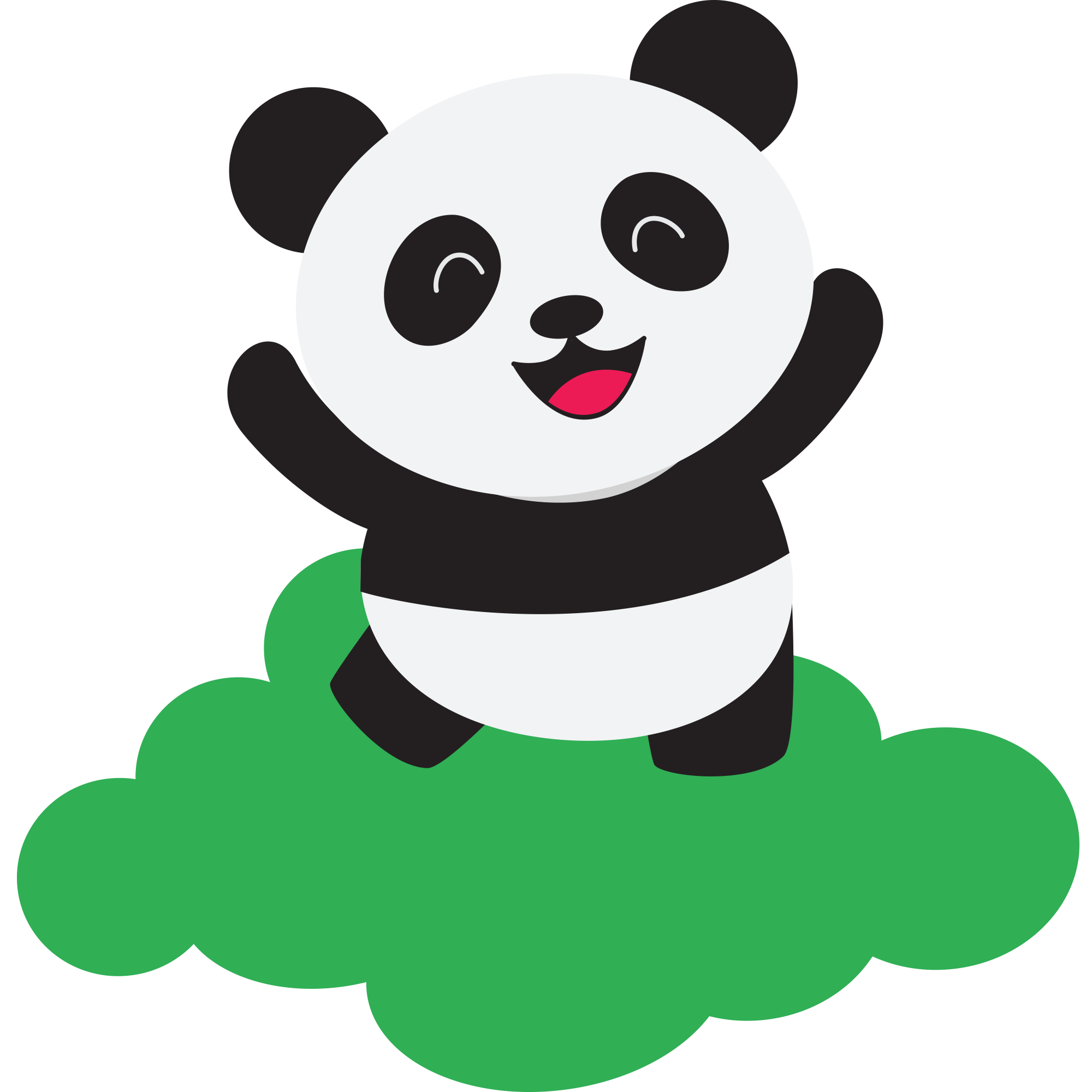 Detail Panda Vorlage Nomer 11