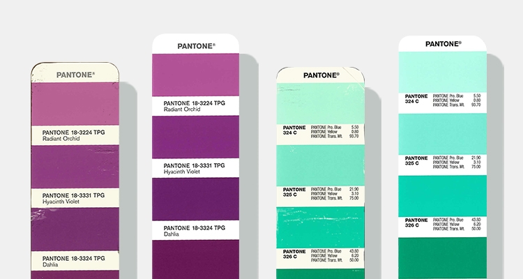 Detail Pantone Pigments Nomer 5