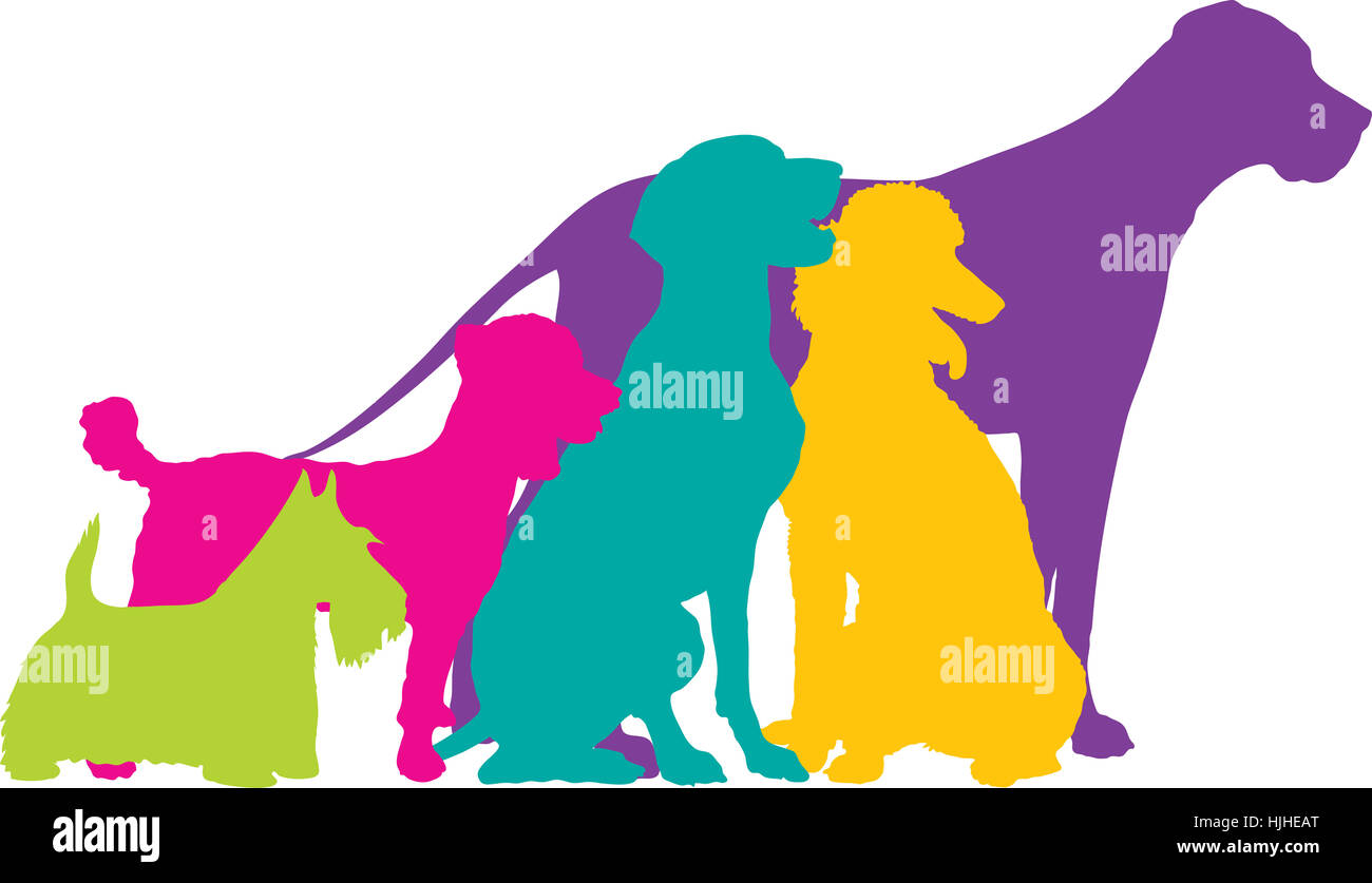 Detail Pointer Mix Nomer 11