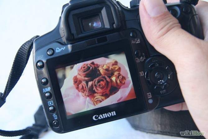 Detail Foto Orang Pegang Kamera Nomer 35