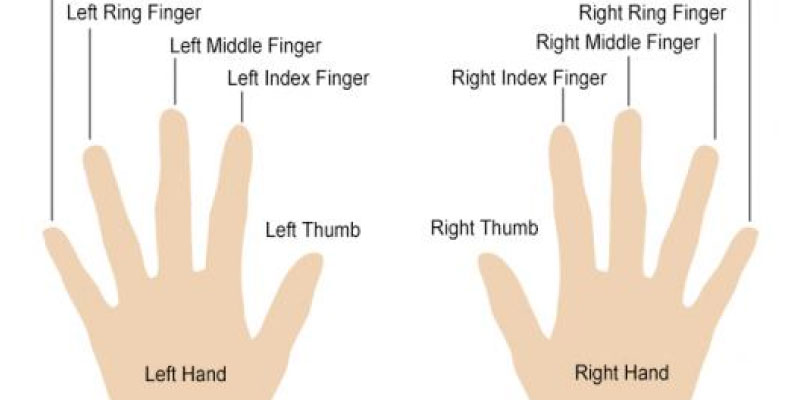 Detail Ringfinger Frauen Nomer 3