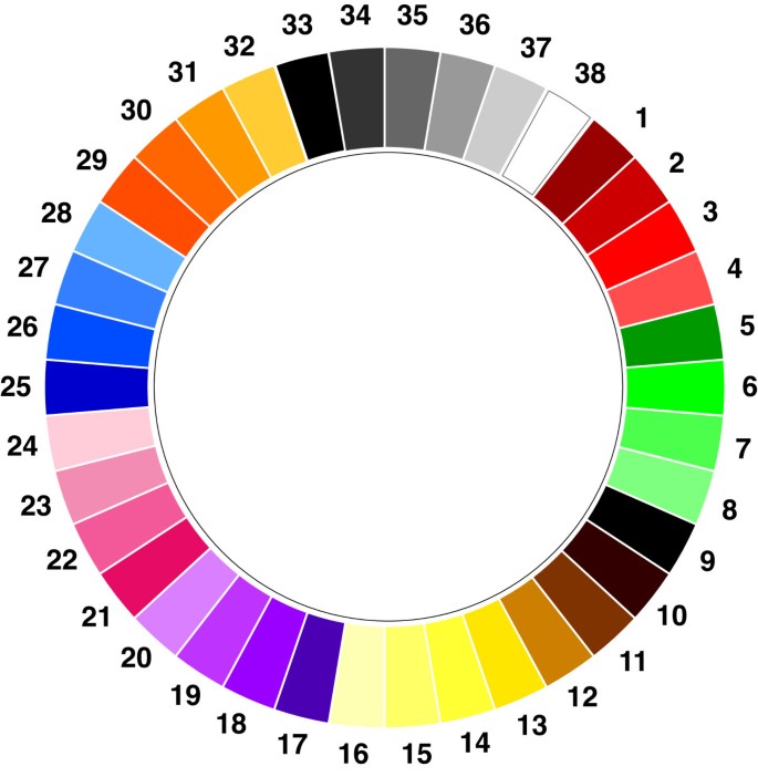 Detail 16 Colour Wheel Nomer 25